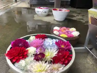 岡寺（龍蓋寺）の手水舎