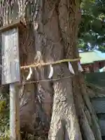 天照大神の自然