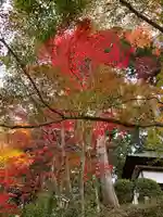 楠妣庵観音寺の自然