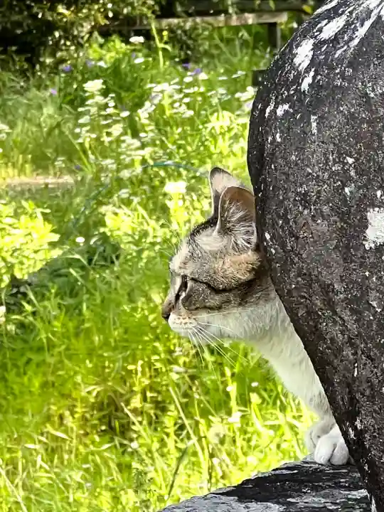上伊那招魂社(長野県)