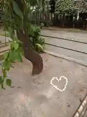 柏神社の庭園