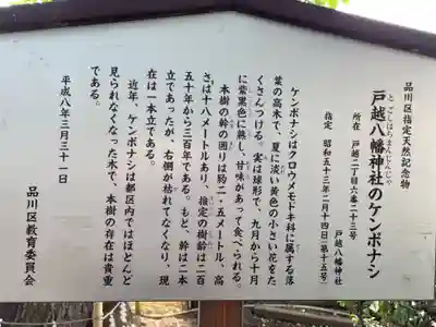 戸越八幡神社の歴史