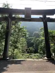 速川神社の鳥居