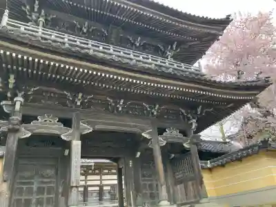 本念寺の{uncategorized: "未分類", other: "その他", undefined: "問題あり", building: "その他建物", grave: "お墓", sacred_gate: "鳥居", guardian: "狛犬", statue: "像", buddha: "仏像", history: "歴史", nature: "自然", garden: "庭園", animal: "動物", pagoda: "塔", temizu: "手水舎", mountain_gate: "山門・神門", sanctuary: "本殿・本堂", subordinate: "末社・摂社", art: "芸術", scenery: "景色", jizo: "地蔵", ema: "絵馬", goshuin: "御朱印", omikuji: "おみくじ", items: "授与品その他", amulet: "お守り", goshuincho: "御朱印帳", eats: "食事", festival: "お祭り", votive_dance: "神楽", shichigosan: "七五三参", wedding: "結婚式", experience: "体験その他", initially: "初詣", around: "周辺", anti_infection: "感染症対策"}