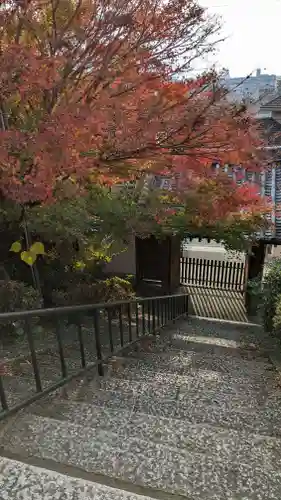 宇治上神社(京都府)