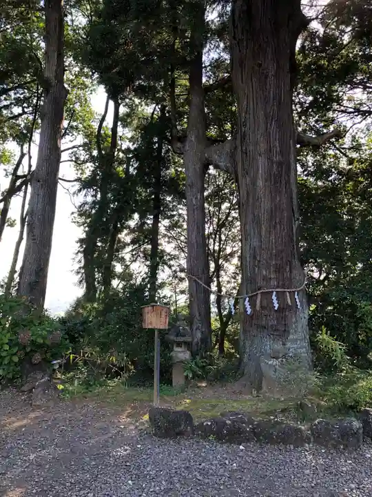 熊野那智神社の自然