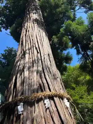 雲八幡宮(大分県)