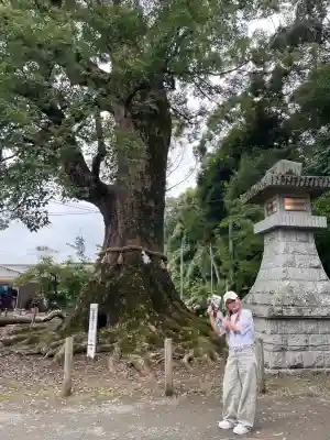 薦神社(大分県)