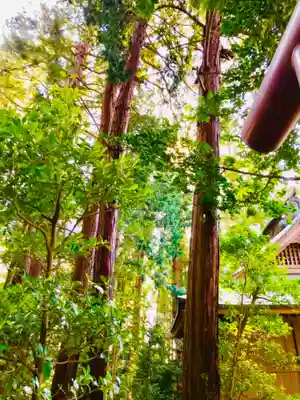 加波山三枝祇神社本宮の自然