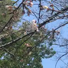 大生郷天満宮の自然