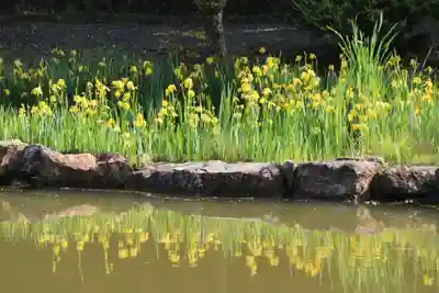 采女神社の庭園