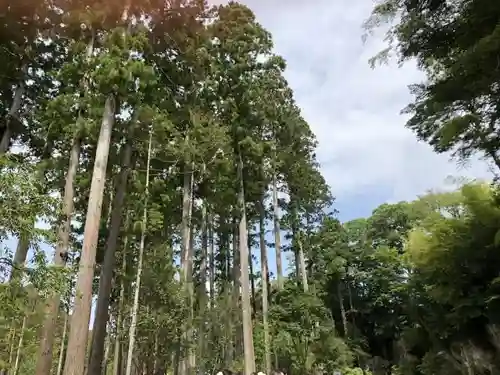 瑞巌寺の自然