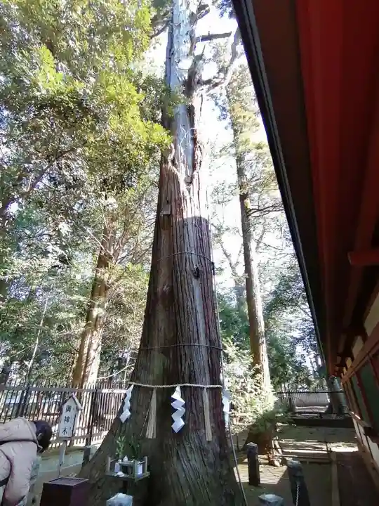 一言主神社の自然