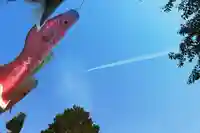 くまくま神社(導きの社 熊野町熊野神社)のお祭り