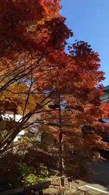 青蓮院門跡(京都府)