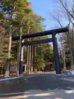 北海道神宮の鳥居