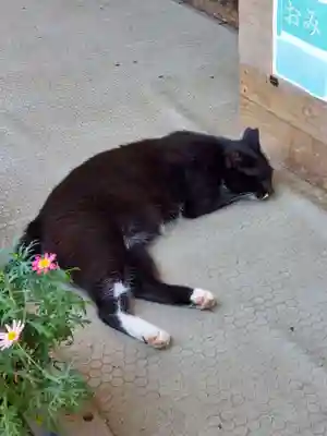岡部春日神社～👹鬼門よけの🌺花咲く🌺やしろ～(福島県)