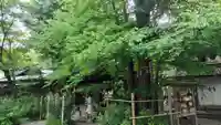 梨木神社(京都府)