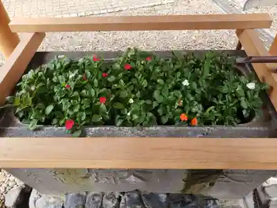 上目黒氷川神社(東京都)