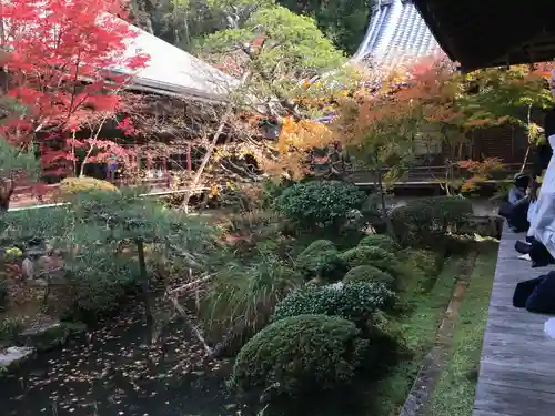 禅林寺（永観堂）の庭園