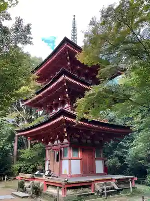 浄瑠璃寺(京都府)