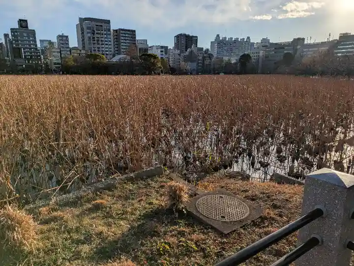 寛永寺不忍池弁天堂の景色