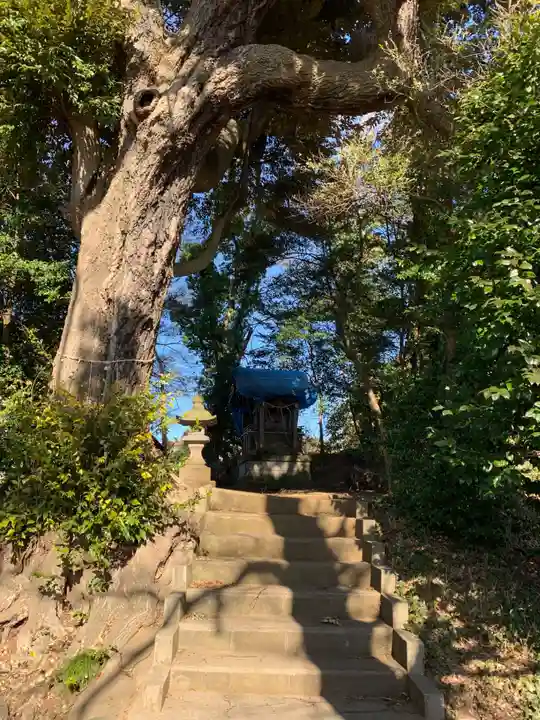 大宮神社(千葉県)