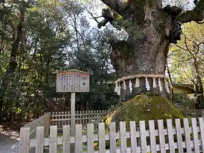 熱田神宮(愛知県)