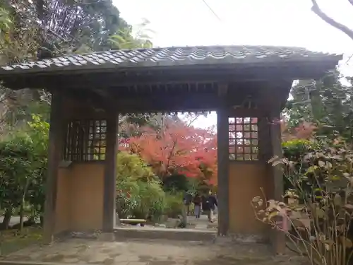 海蔵寺の山門