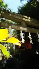 岩戸別神社の鳥居