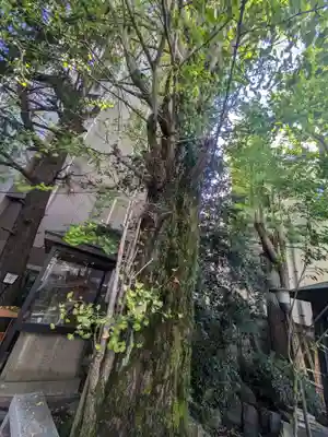 本覚寺(東京都)