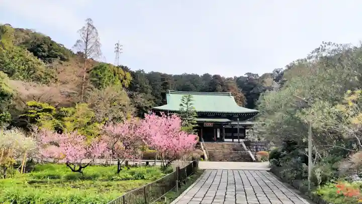 龍寳寺(龍宝寺)(神奈川県)