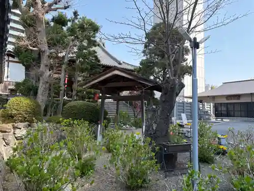 廣智寺(観音廣智勝幢禅寺)(大阪府)