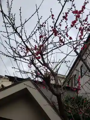 小淀東町会稲荷大明神(東京都)