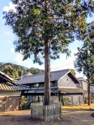 神明社（犬山神明社）の自然