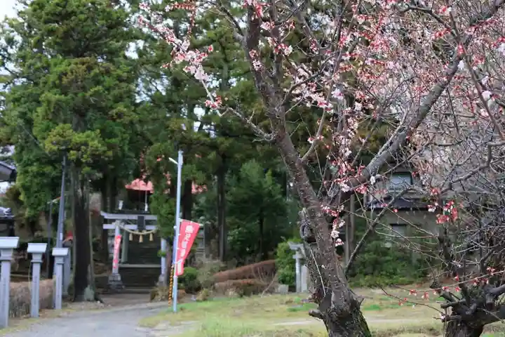 隠津島神社の景色