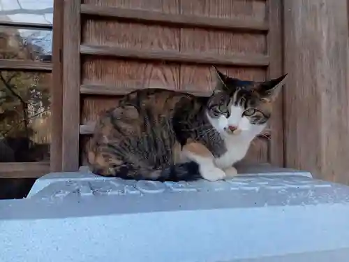 伊佐須美神社(福島県)