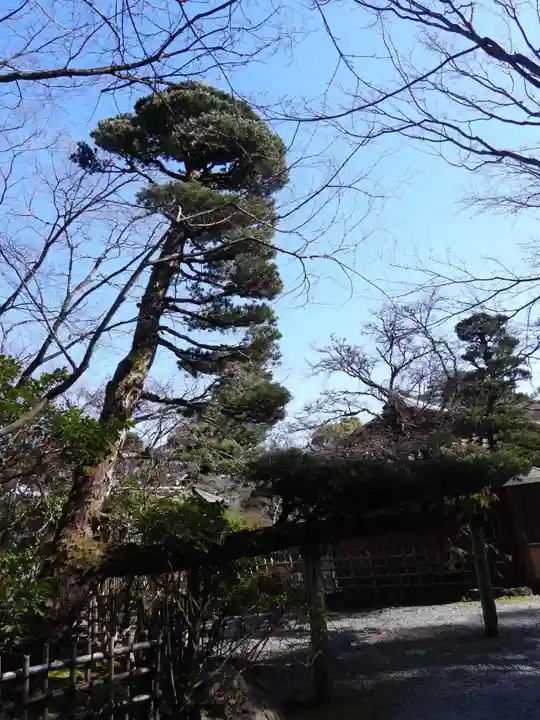 長岡天満宮(京都府)