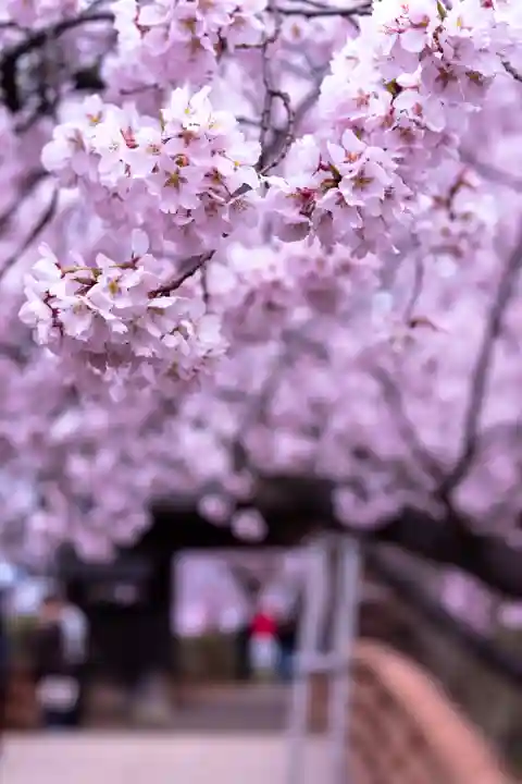新城藤原神社(長野県)