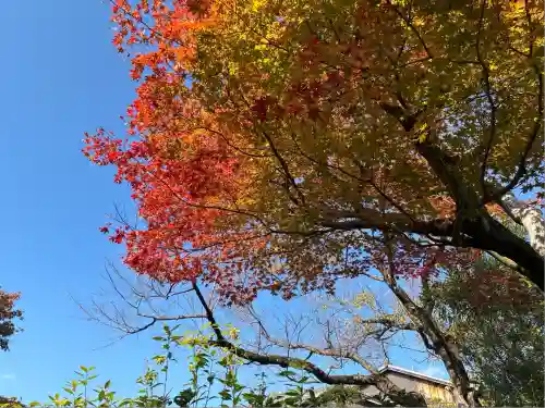 大雄院(京都府)