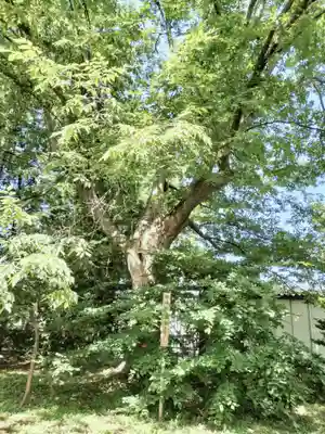 比布神社(北海道)
