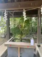 赤坂氷川神社(東京都)