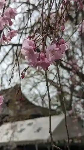 松ヶ崎大黒天 妙圓寺（妙円寺）(京都府)