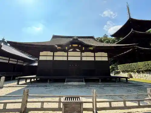 園城寺（三井寺）(滋賀県)