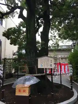 溝口神社のその他建物