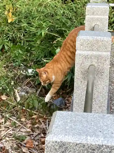 金刀比羅社(兵庫県)