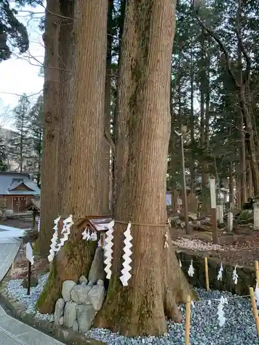 富士山東口本宮 冨士浅間神社の自然