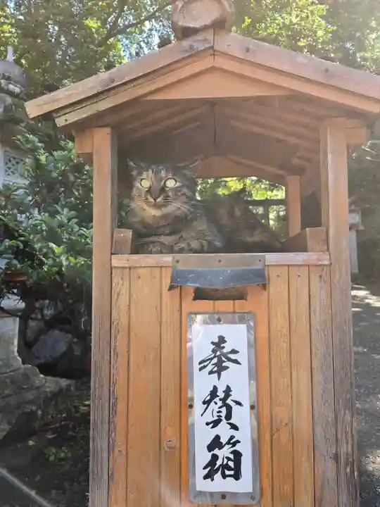 唐澤山神社(栃木県)