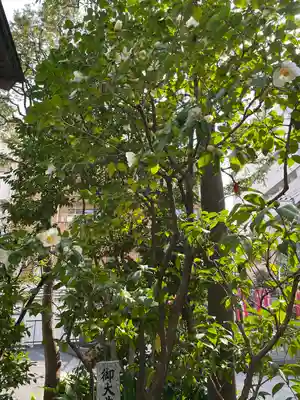 金刀比羅宮東京分社(東京都)