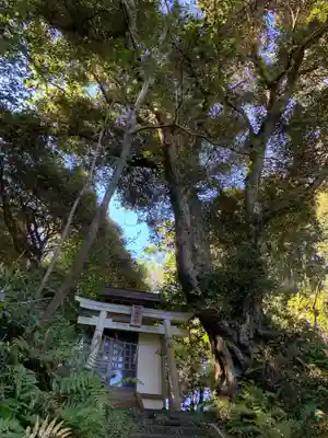 八幡神社(千葉県)